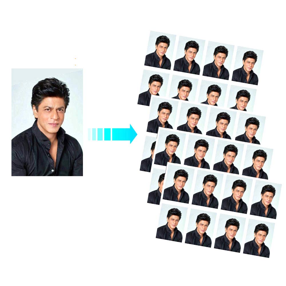 Passport Size Photo (40 pcs)